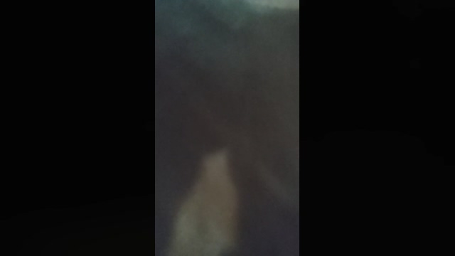 Crazydoglouco  27-04-2022